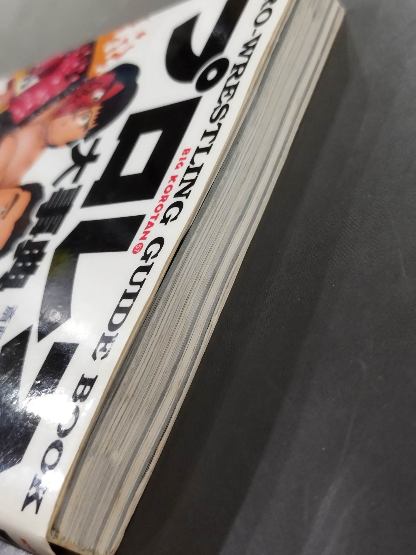 Pro Wrestling Encyclopedia