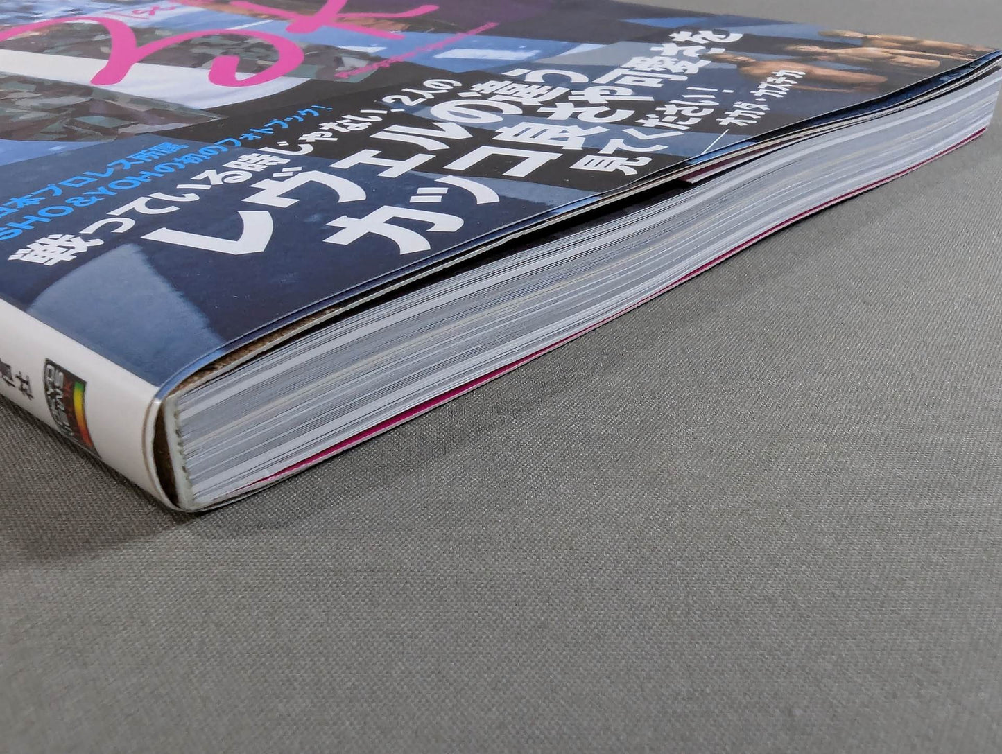 3K New Japan Pro-wrestling SHO & YOH 1st Photo book