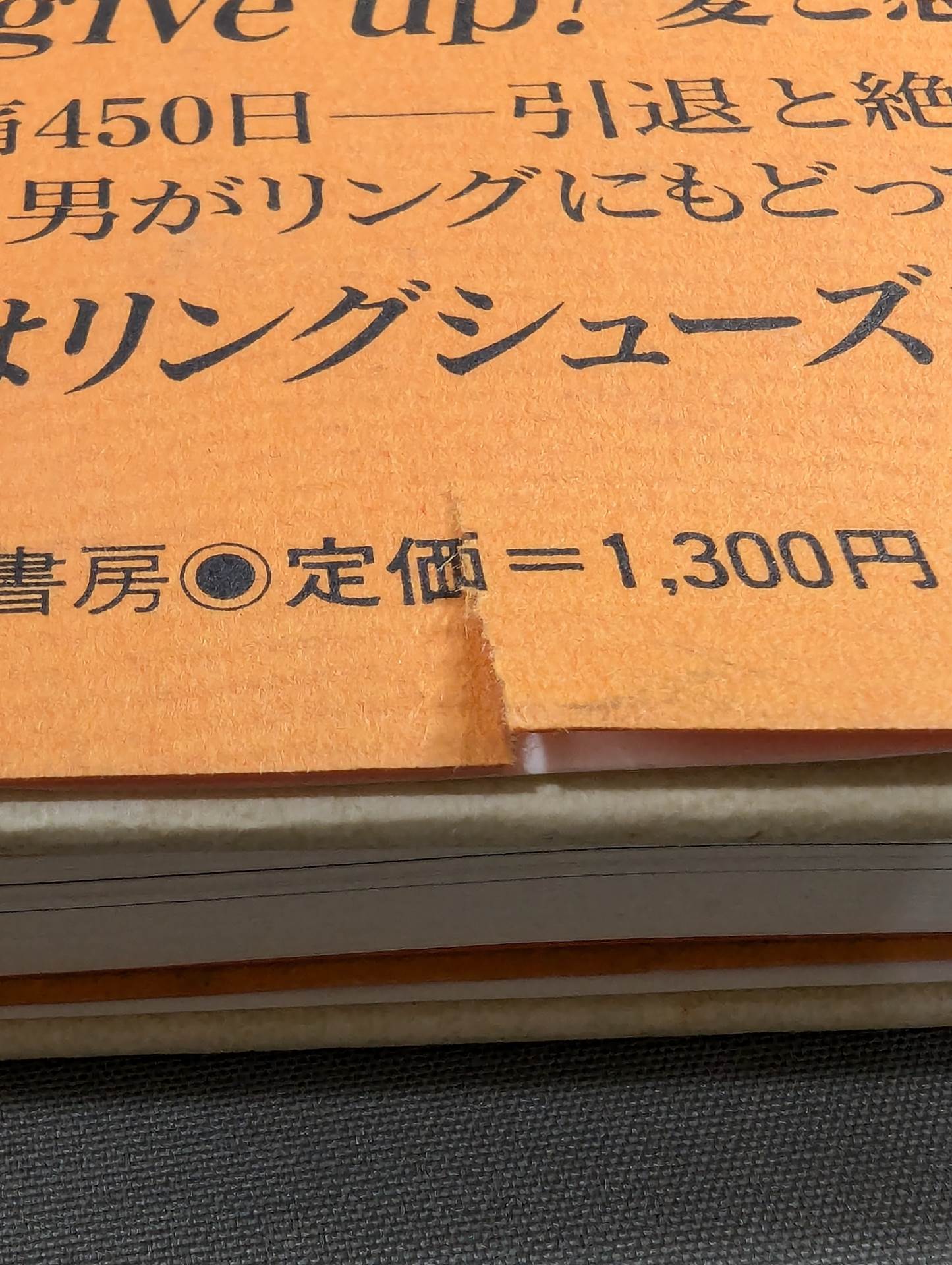 【Tatsumi Fujinami hand signed autograph 】Dragon Flame's Comeback