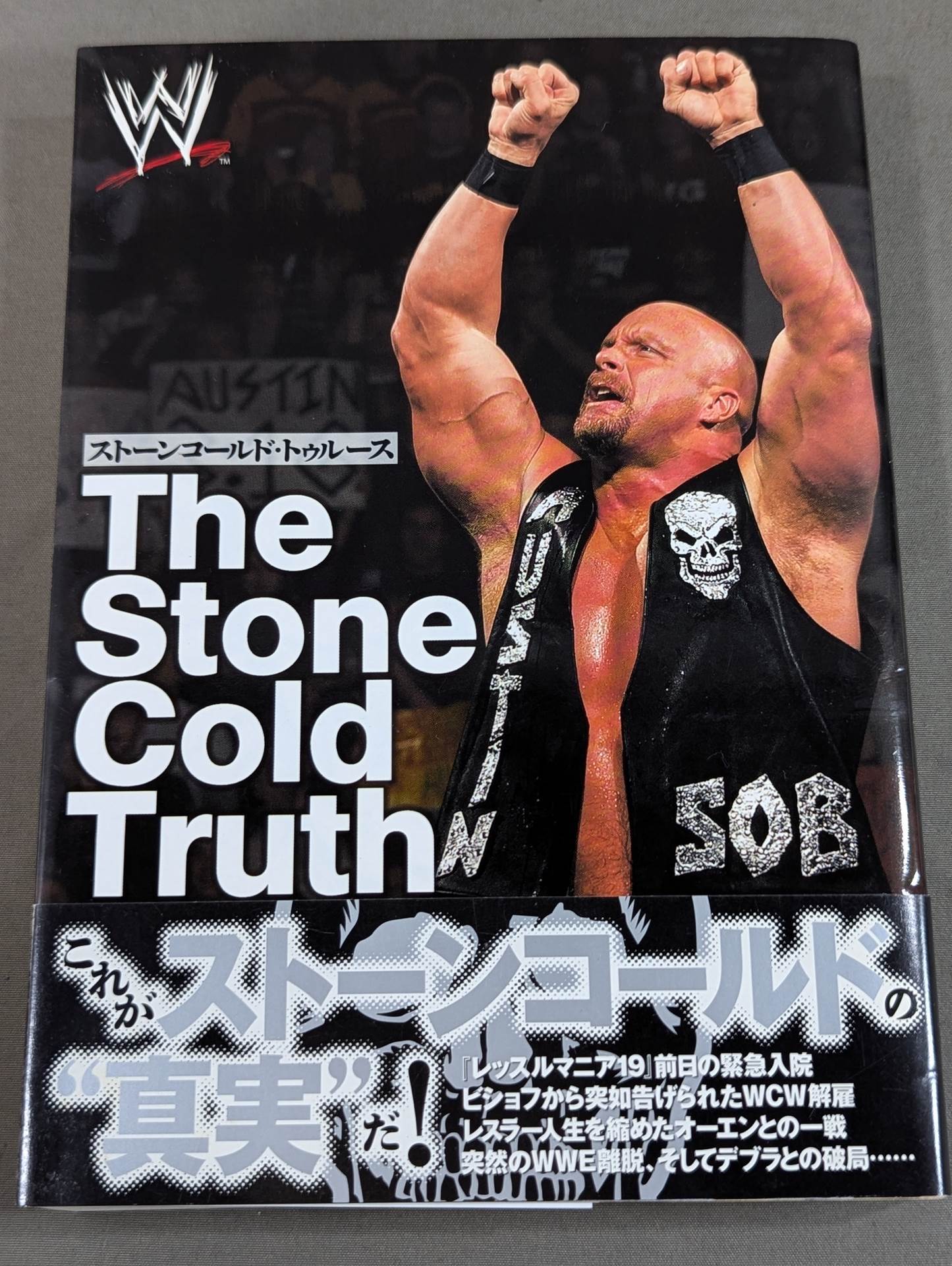 ストーンコールド・トゥルース The Stones Cold Truth