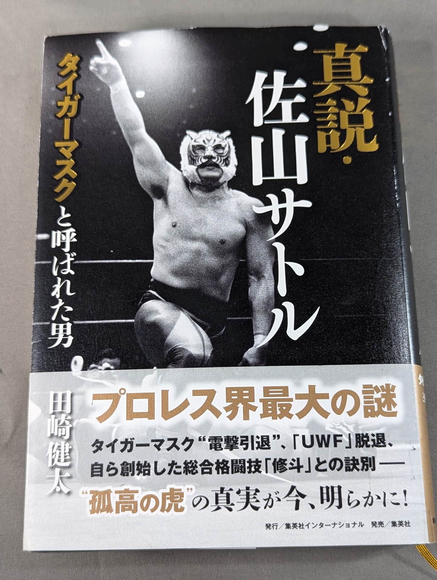 True theory: Satoru Sayama The Man Called Tiger Mask