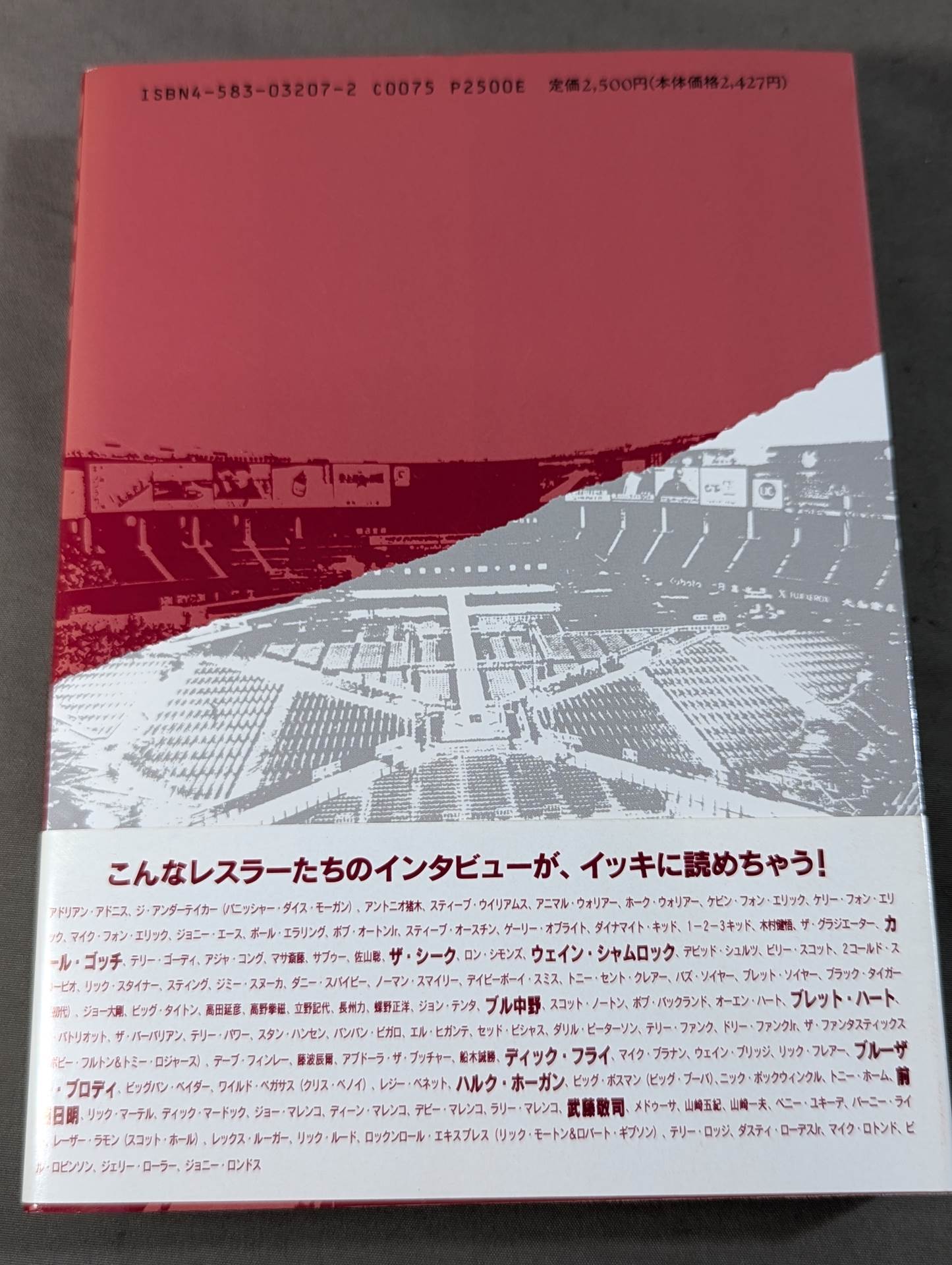 デケード プロレスラー100人の証言集(上)