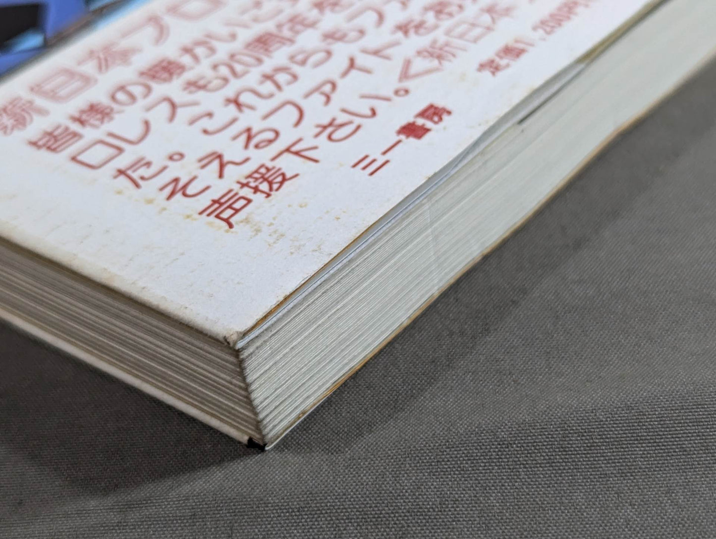 【直筆サイン入り】リングの外も危険がいっぱい ケロの新日本プロレス旅日記