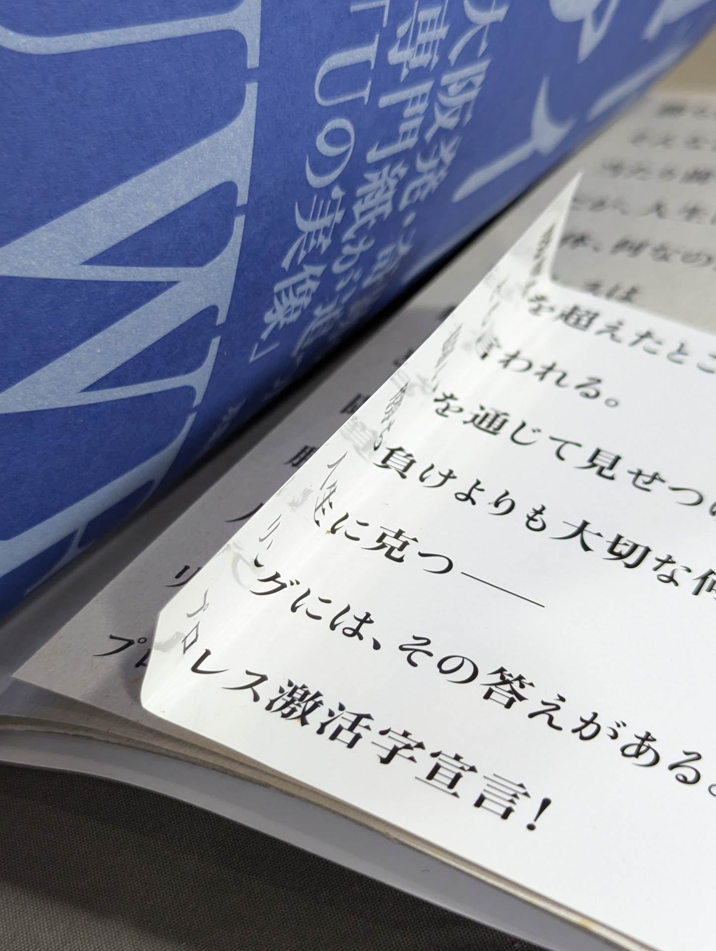 "Weekly Fight" and UWF Osaka's miracle magazine followed "The Real Image of U"