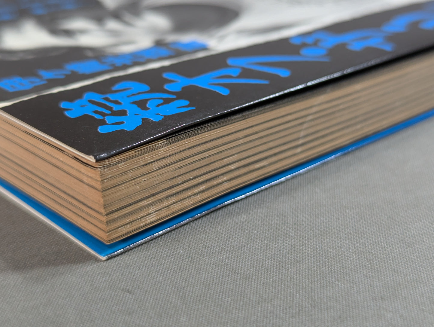 Continuation Off the Ring / The Wrestler: Its Light and Shadow