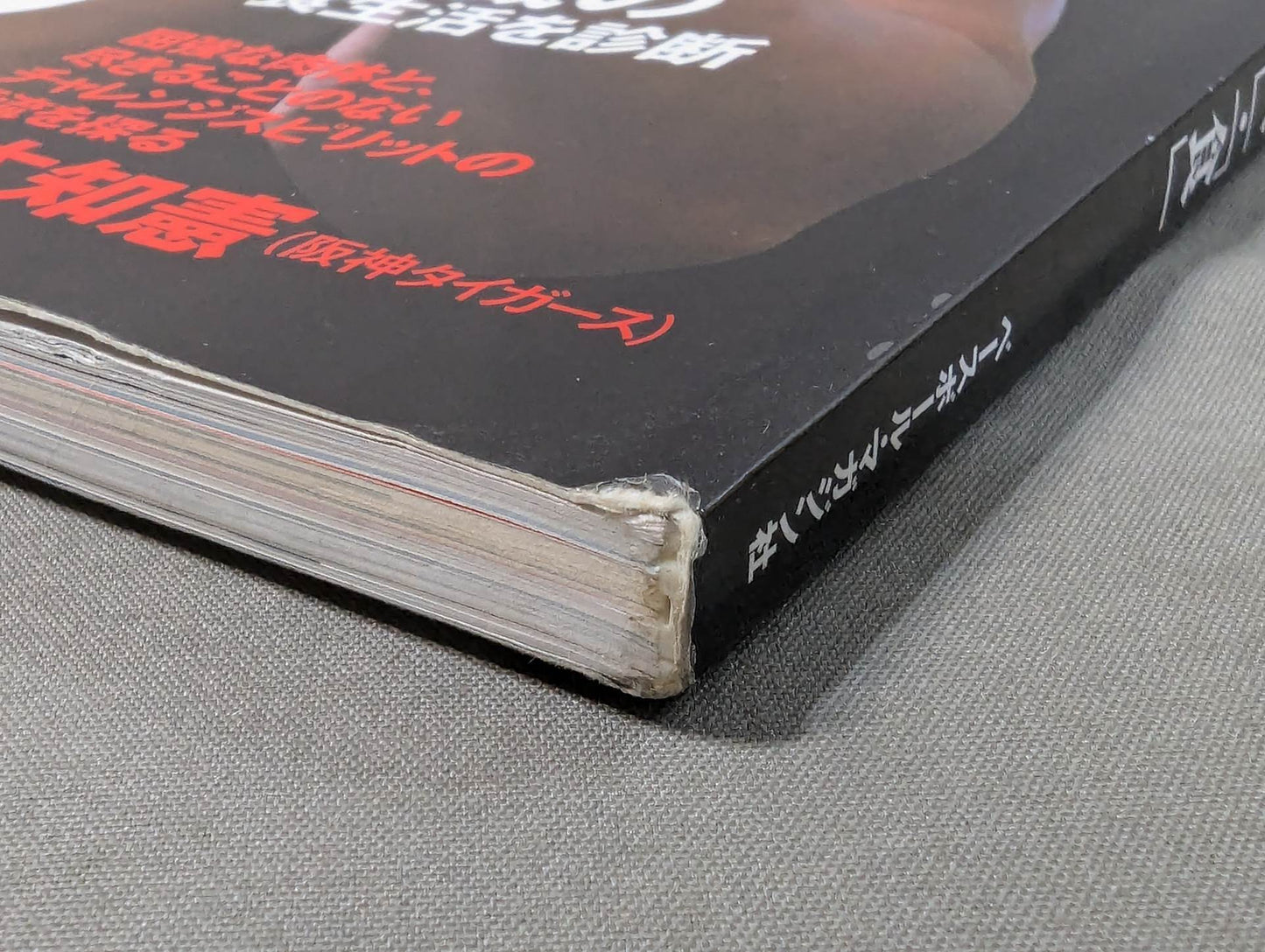 格闘ボディデザインBOOK3 闘うためのカラダづくり「心」・「技」・「体」