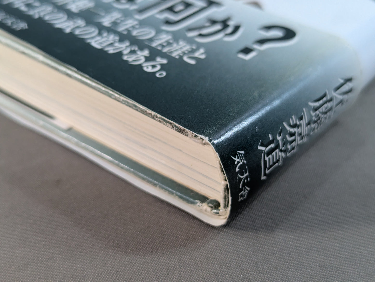 拳聖 澤井健一先生(新版)