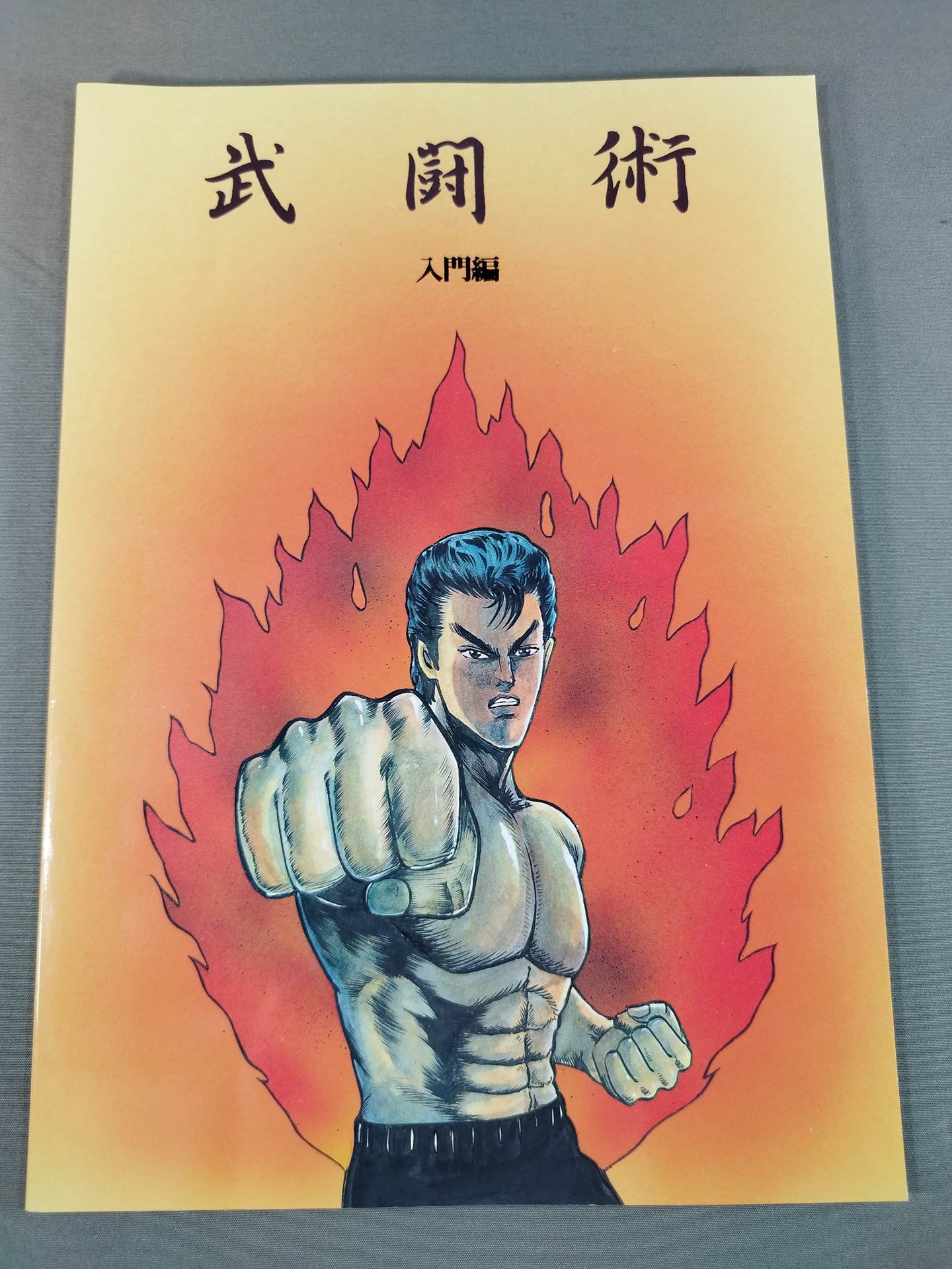 武闘術 4冊セット(入門編/練功編/実践編/秘伝書)