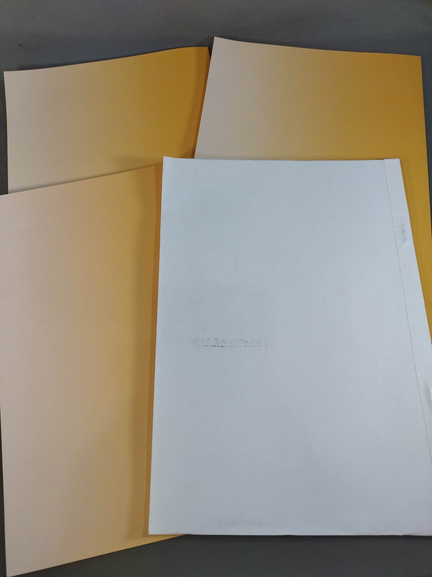 武闘術 4冊セット(入門編/練功編/実践編/秘伝書)