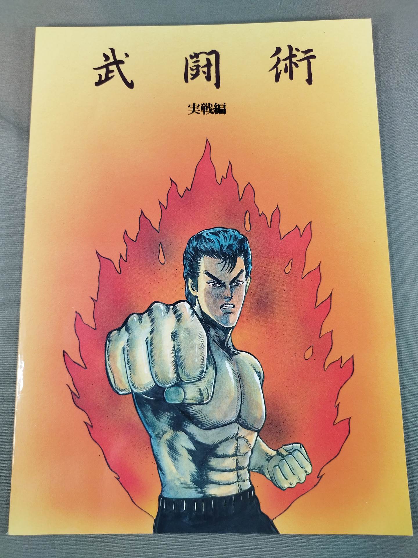 武闘術 4冊セット(入門編/練功編/実践編/秘伝書)