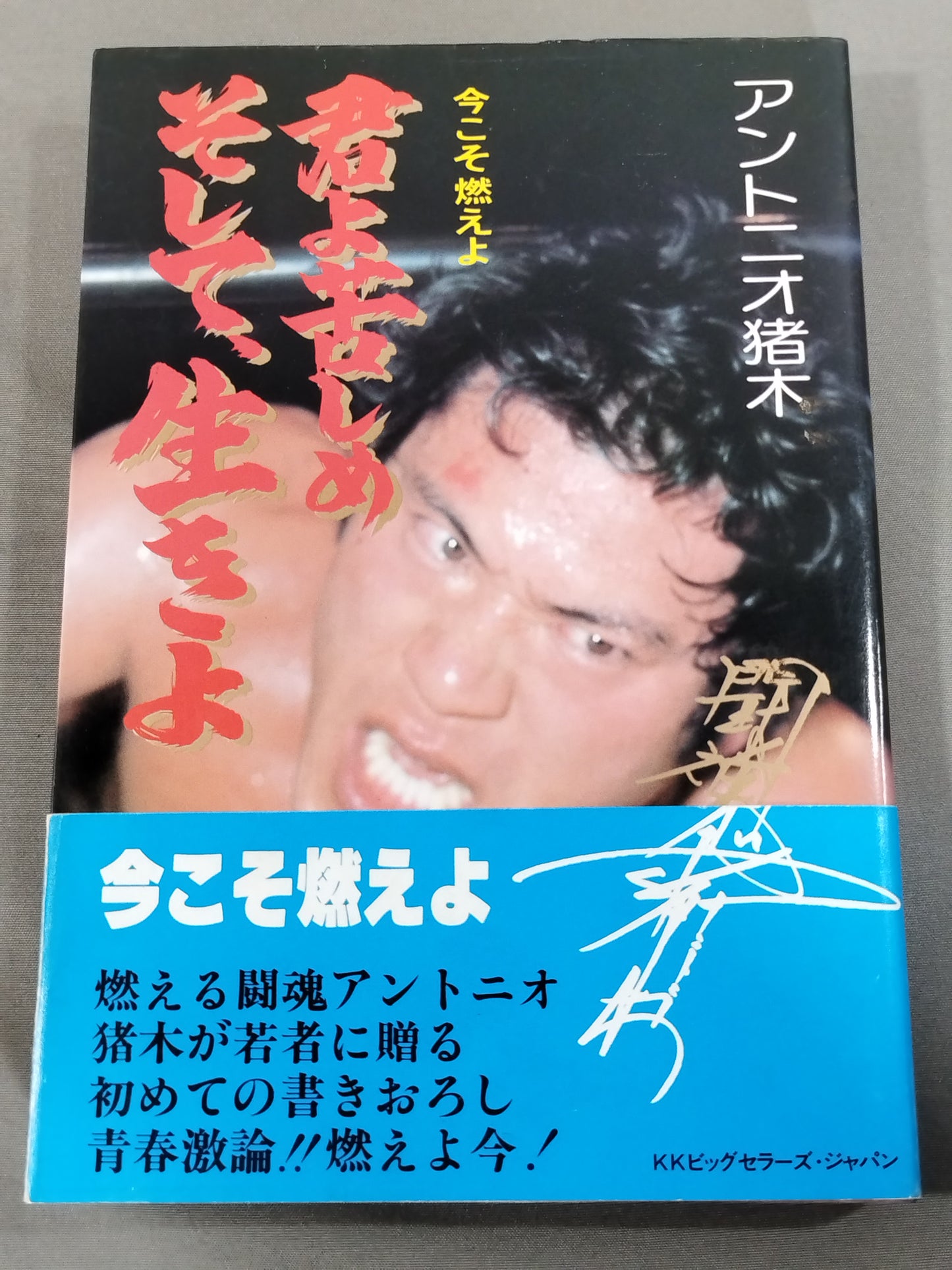 今こそ燃えよ 君よ苦しめ、そして生きよ!