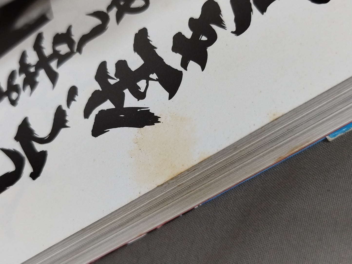今こそ燃えよ 君よ苦しめ、そして生きよ!