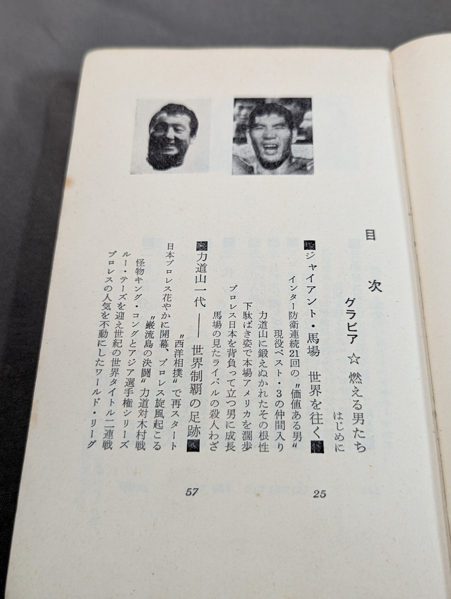 プロレス血風録 世界を制覇する怒涛の男たち