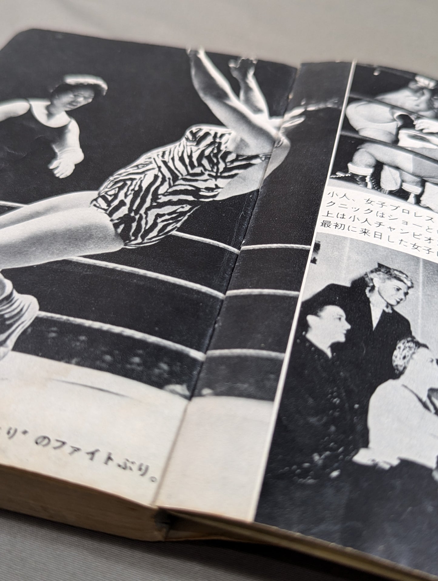 プロレス血風録 世界を制覇する怒涛の男たち