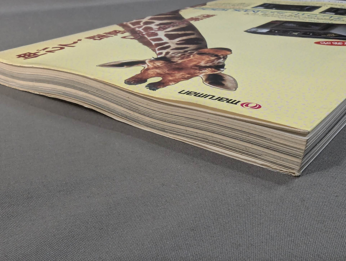 Kyokushin KARATE Yearbook No. 10 Kyokushin Spirit, Be Eternal