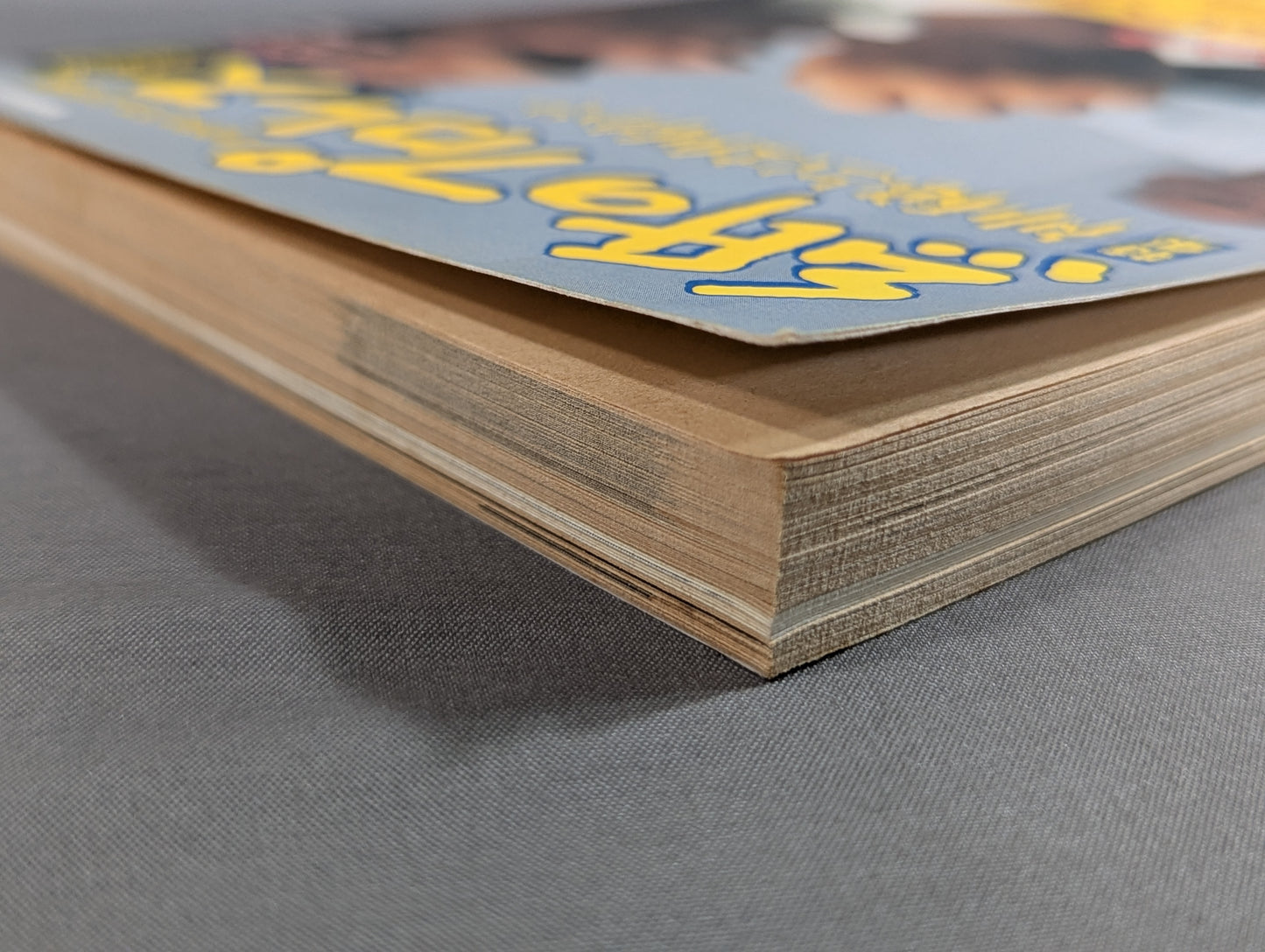 Paper Pro Wrestling 14