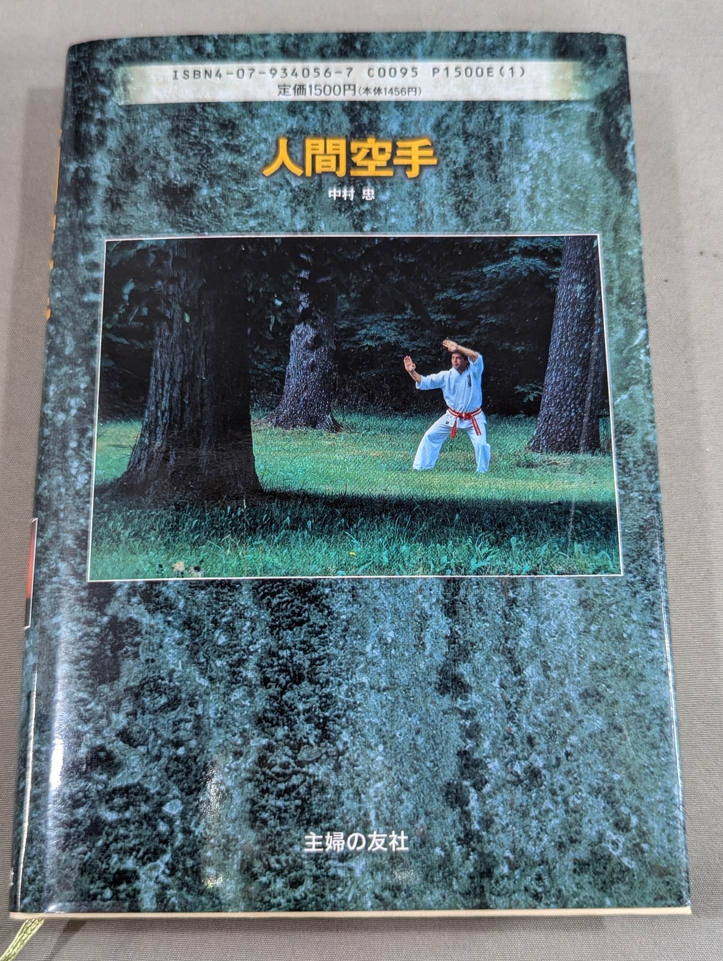 HUMAN KARATE