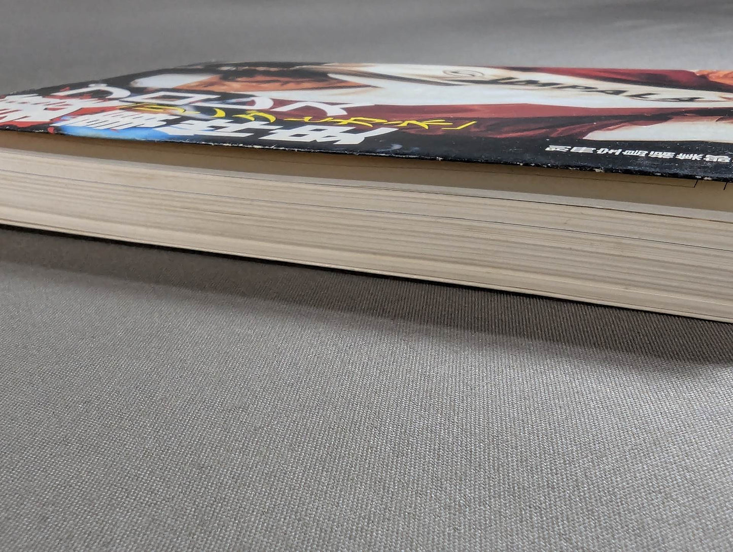 Pro Wrestling "Ring and Money" Behind the Scenes