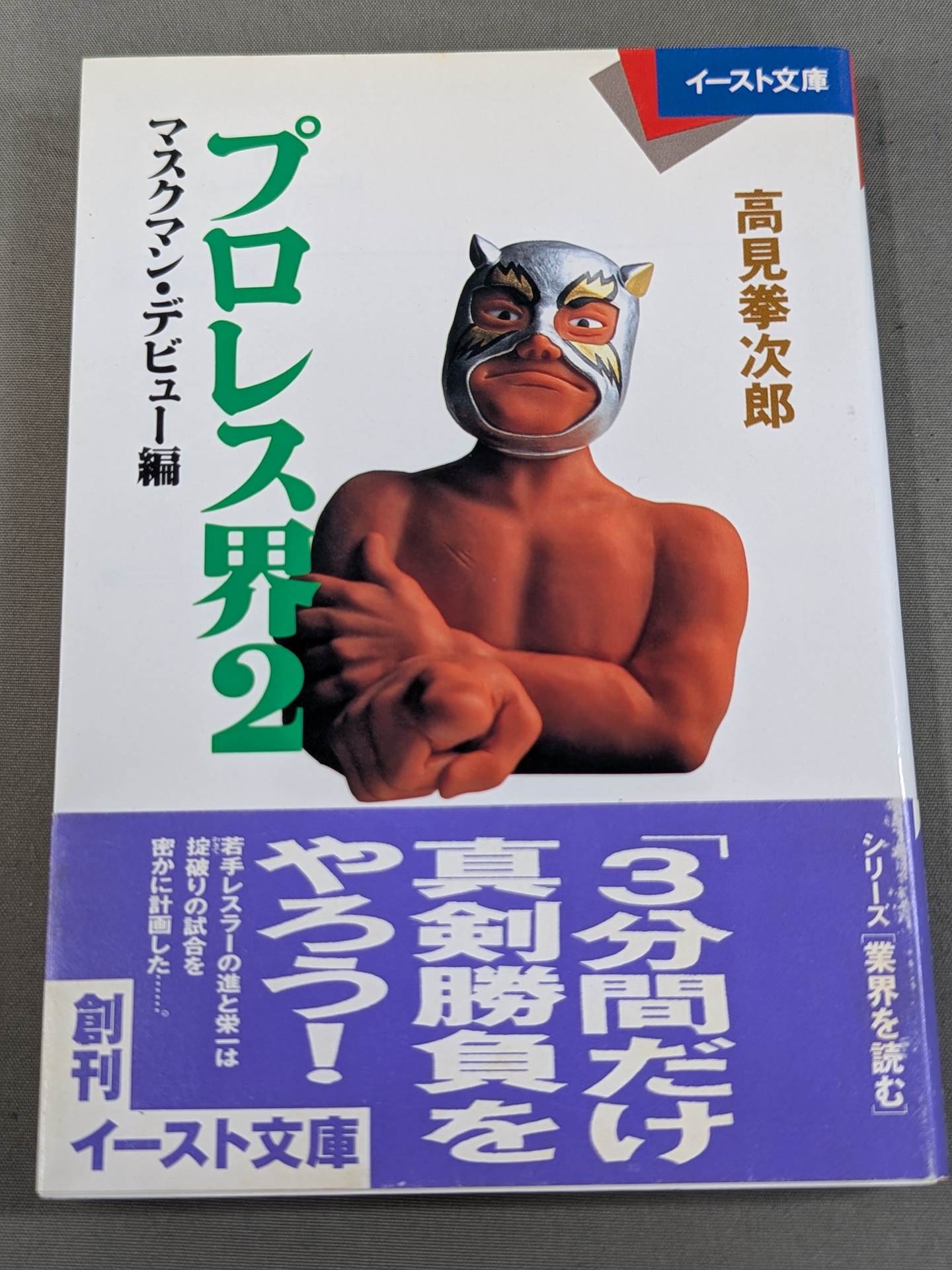 プロレス界2 マスクマン・デビュー編 – 闘道館