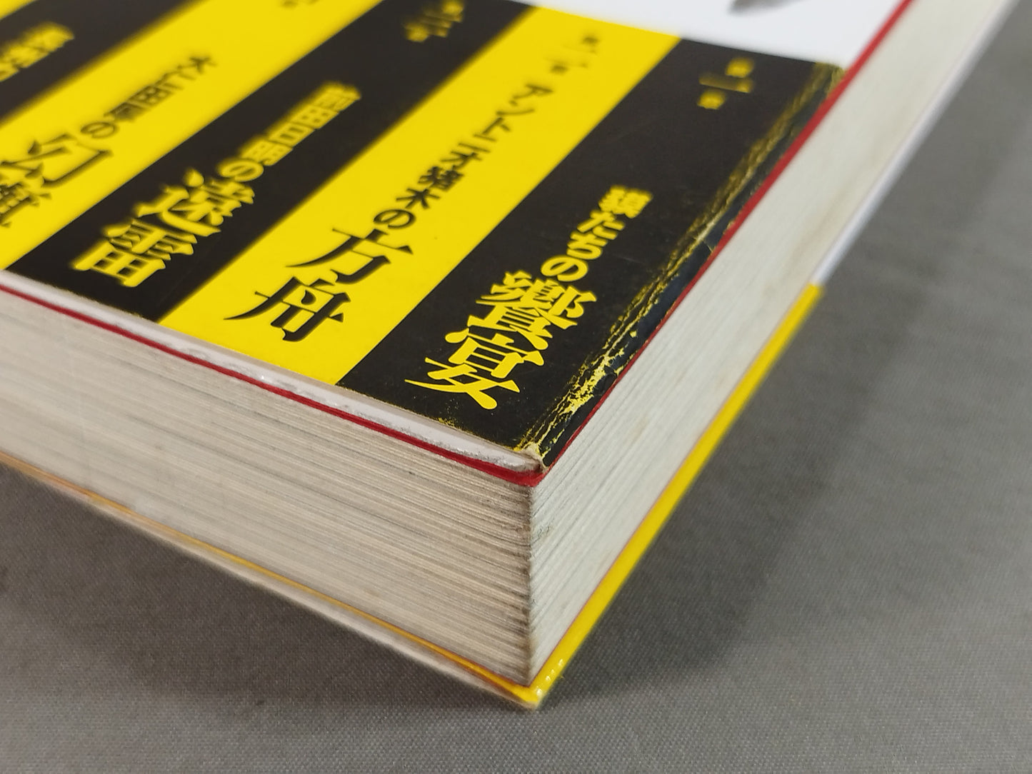 プロレスの危険な愛し方 リング上のエクスタシー