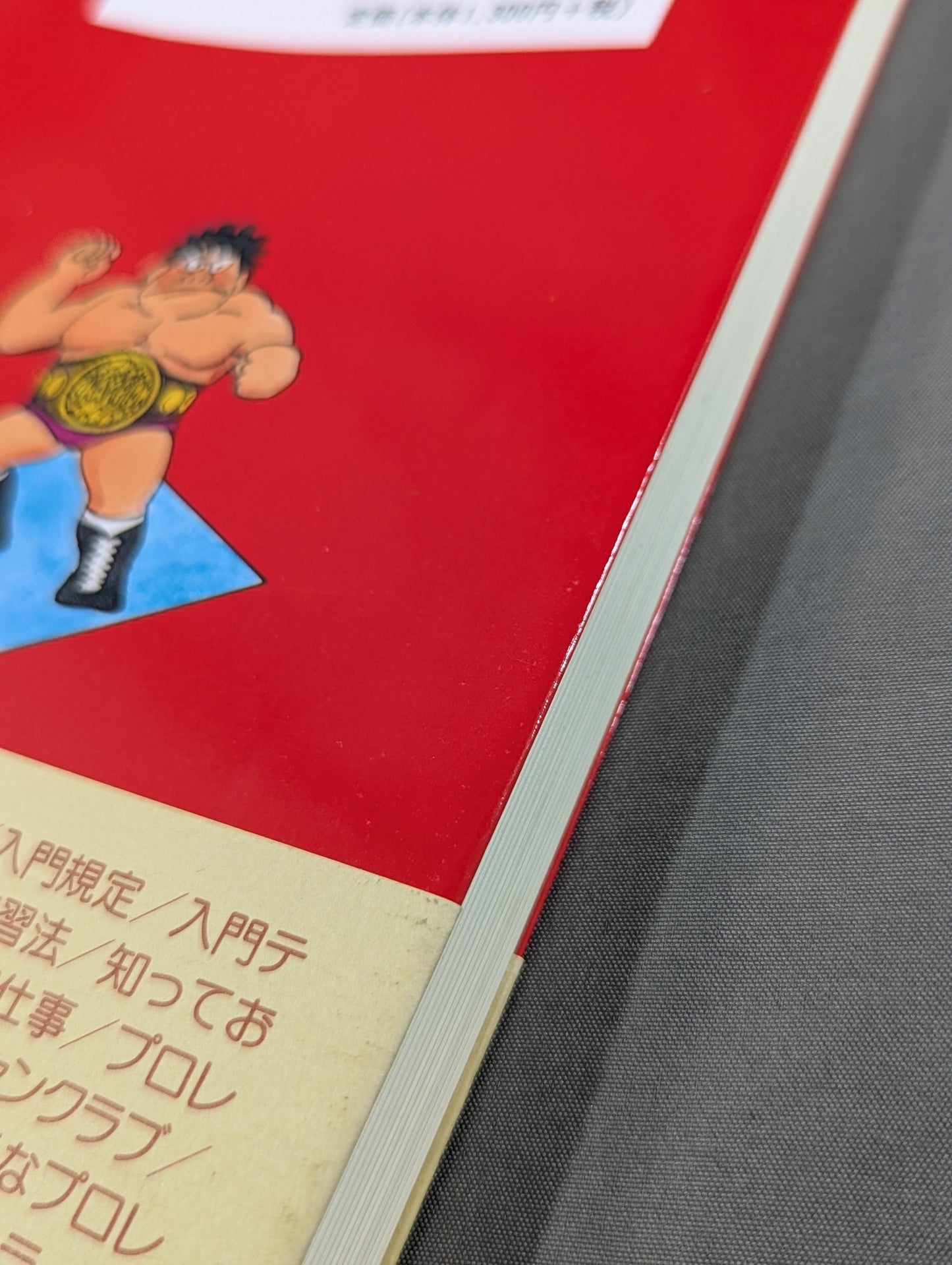 プロレスラーをめざして夢を勝ちとる方法