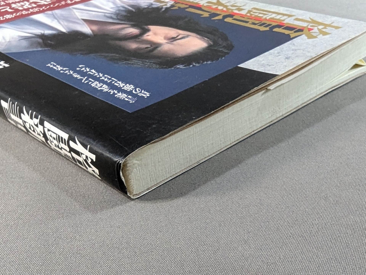 Fighting New Book