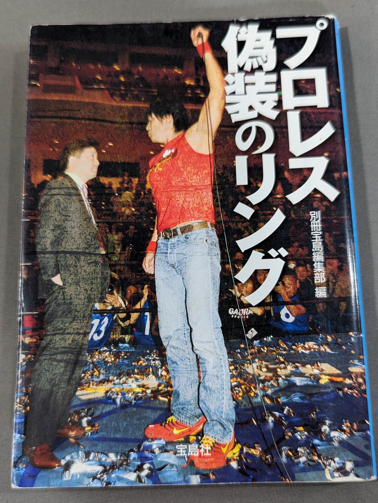 プロレス 偽装のリング – 闘道館