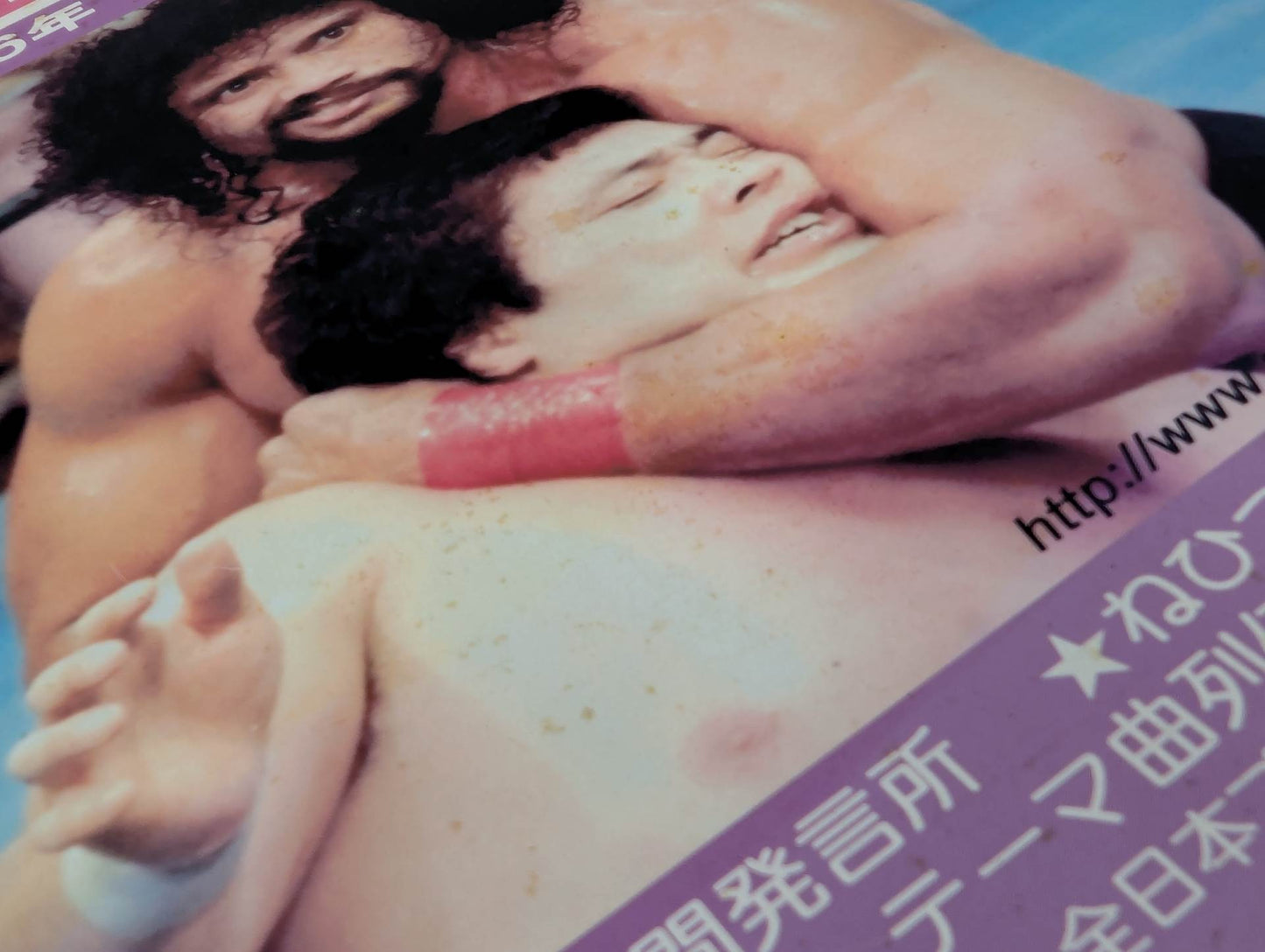 ミック博士の昭和プロレスマガジン第22号 ★特集 昭和56年 レスリング・ウォー勃発!★