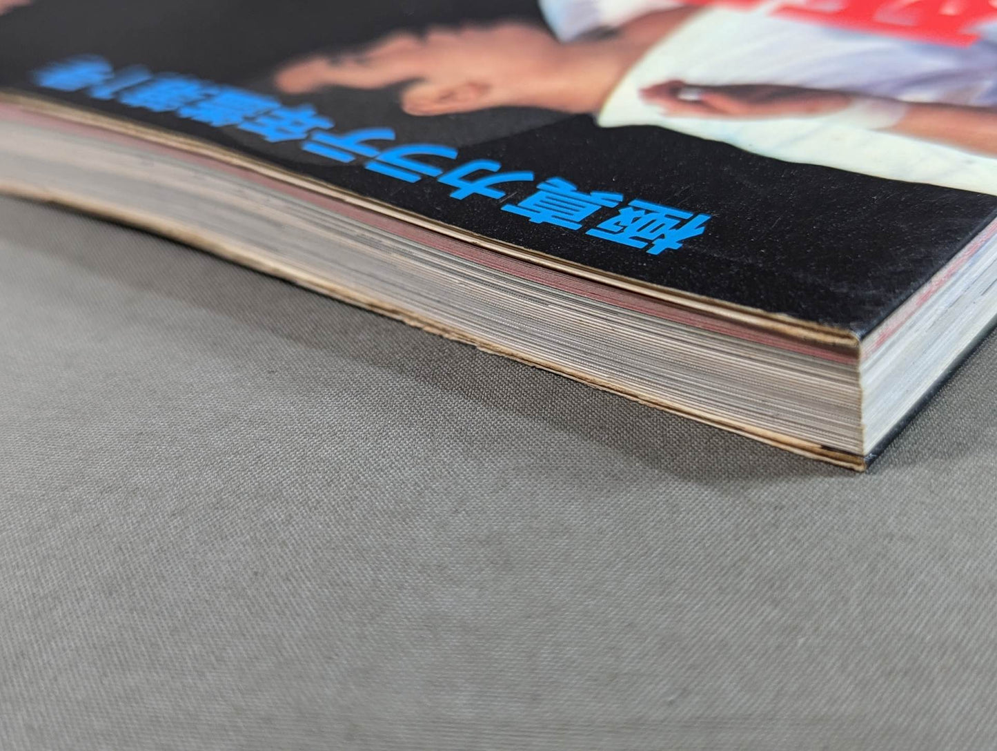 Kyokushin KARATE Yearbook No. 1 Mortal Battle! KARATE SOUL