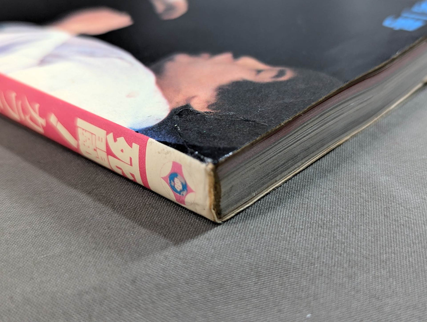 Kyokushin KARATE Yearbook No. 1 Mortal Battle! KARATE SOUL