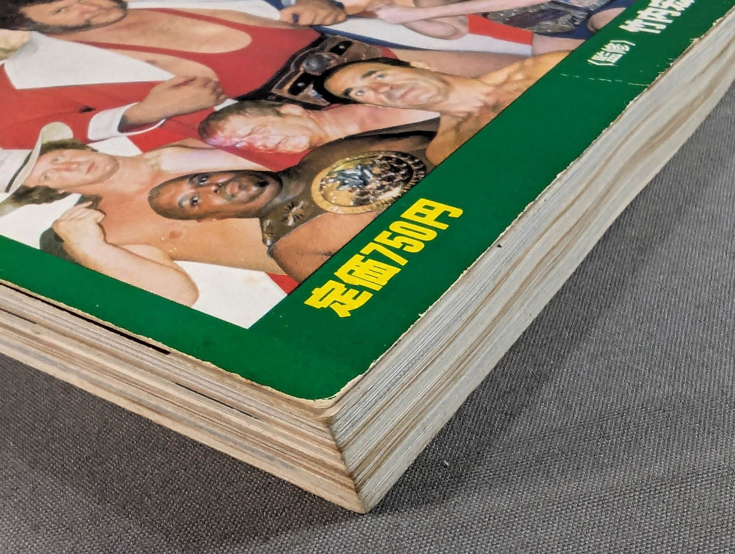 THE WRESTLER BEST 100 (Pocket Edition)