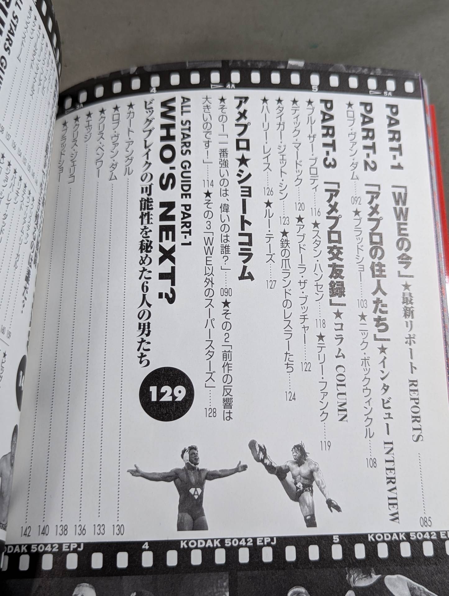 アメリカンプロレス スーパースター完全ガイド