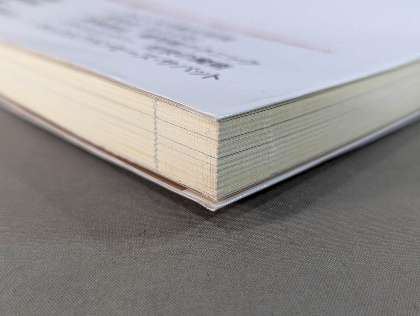 【DVD付】達人シリーズ第八巻 もっと強くなれる 究極ハイキック修得術