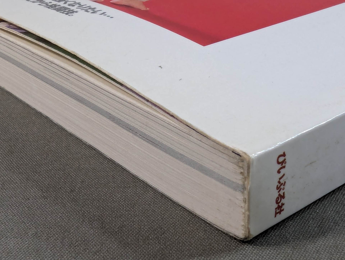Martial Arts Introductory Guidebook 2000-2001