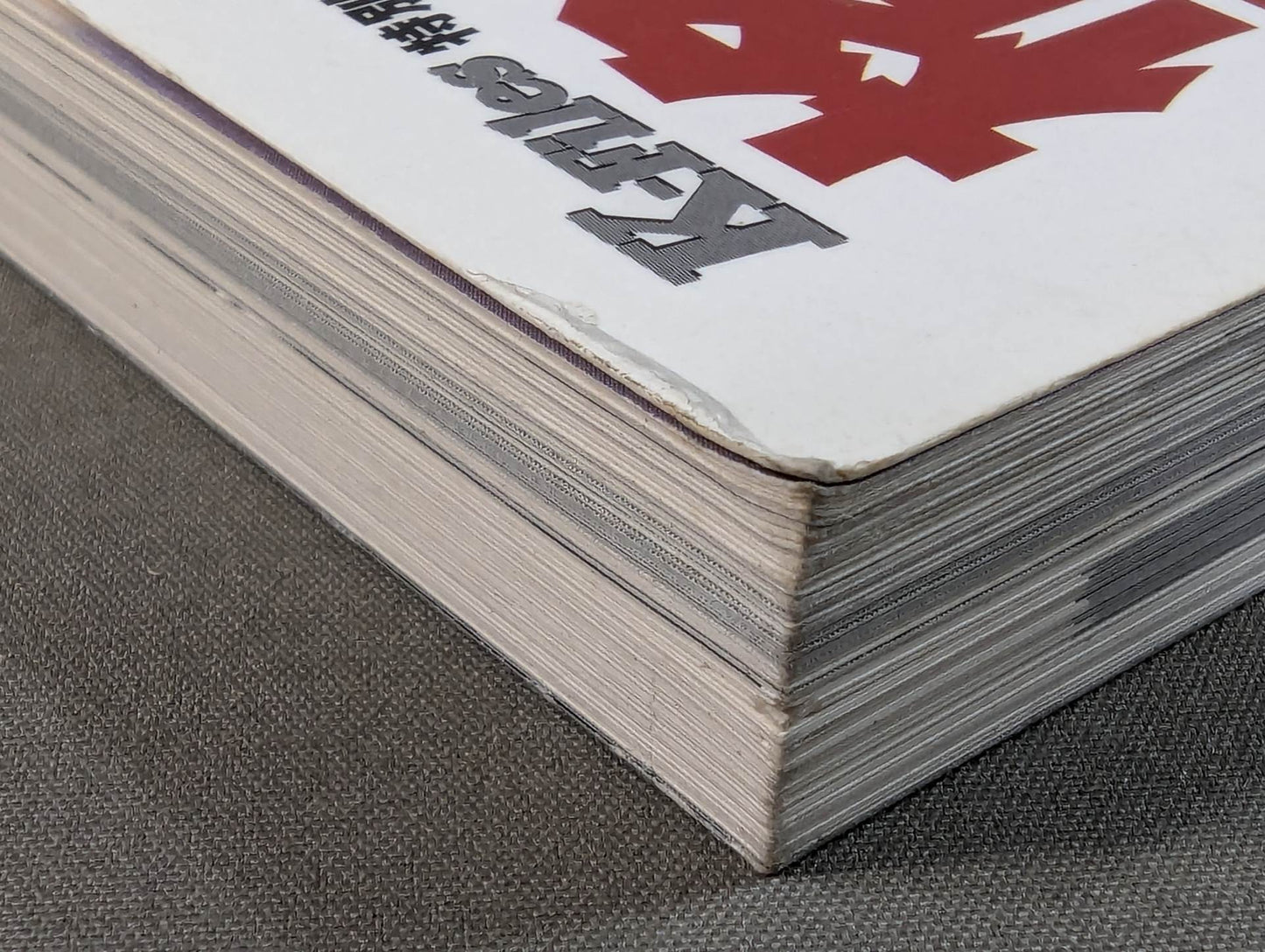 Martial Arts Introductory Guidebook 2000-2001