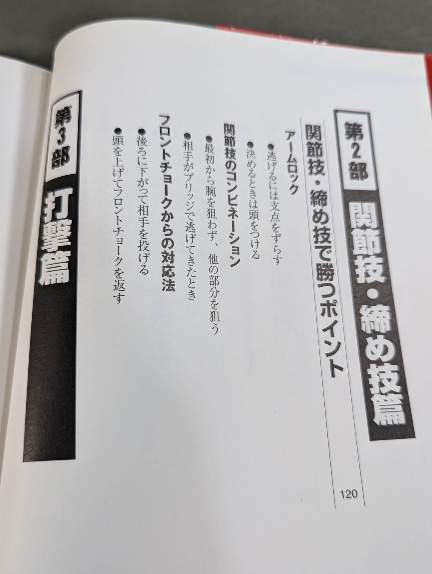 平直行のリアルファイト柔術 総合格闘技超テクニック