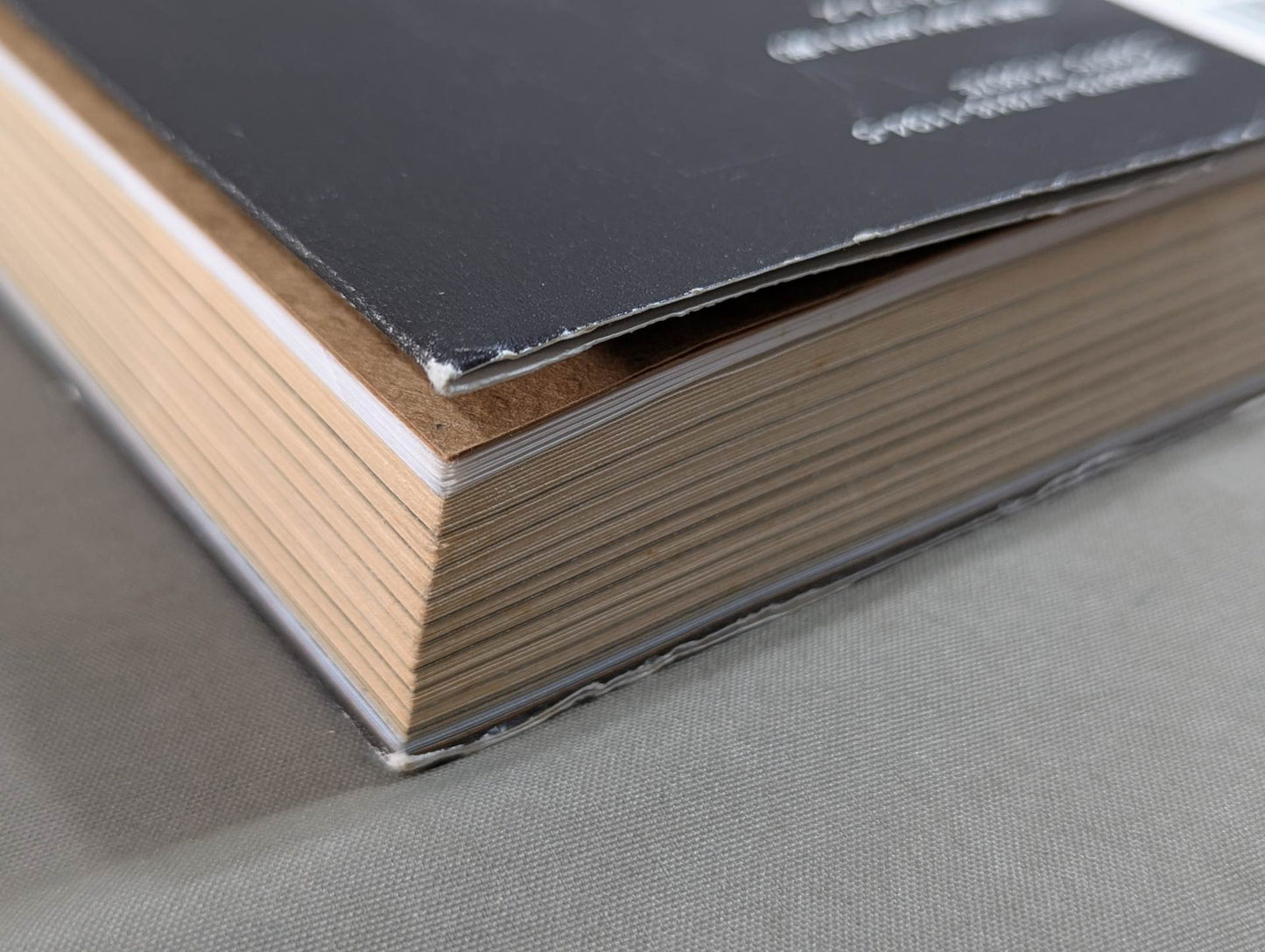 Shinsuke Nakamura Autobiography King of Strong Style 1980-2004 Volume 1