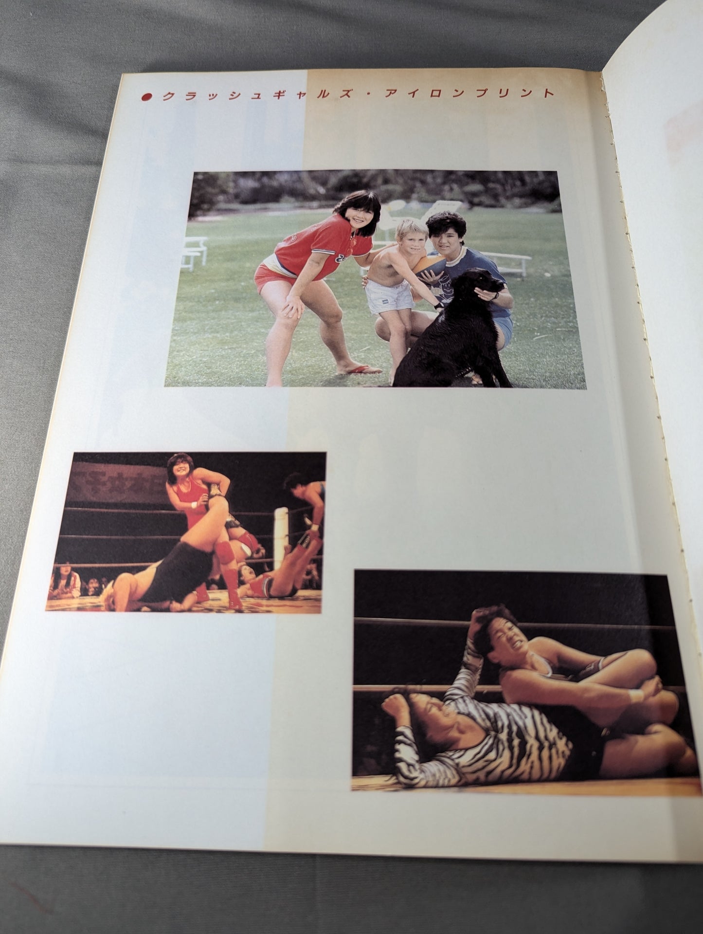 裸足の戦士たち 女子プロレス・ドラマティック写真集