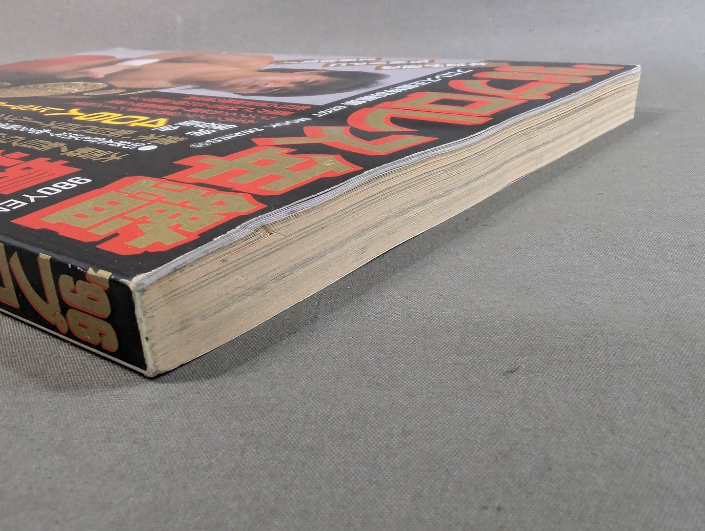 96Pro Wrestling Yearbook