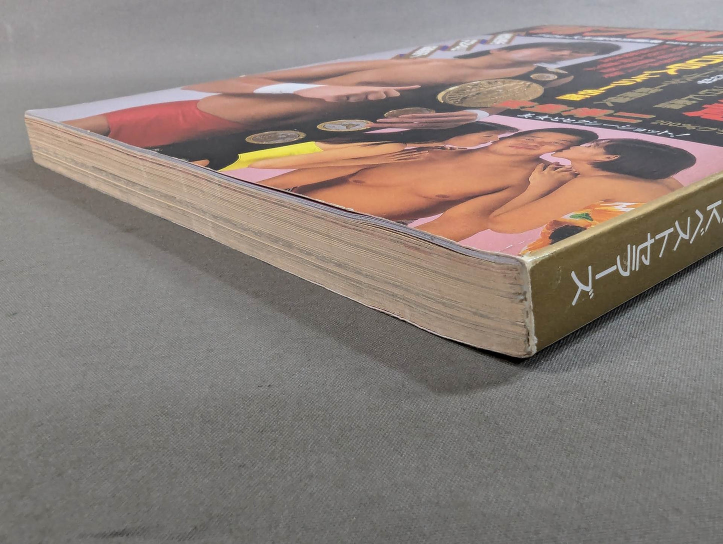 96Pro Wrestling Yearbook