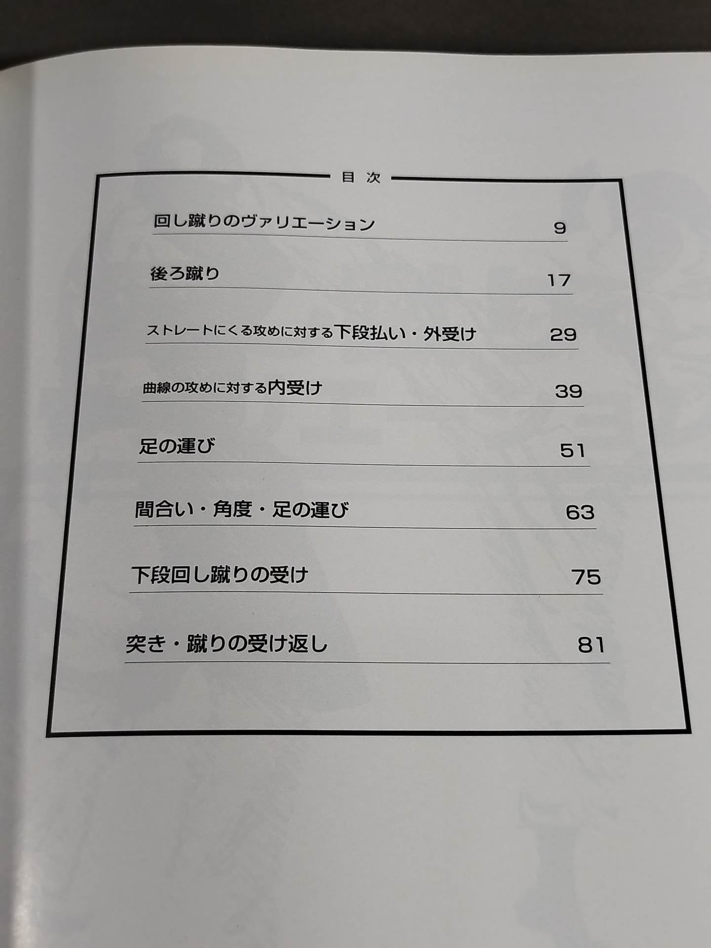 KARATE SCRIPTURES, VOL. 2