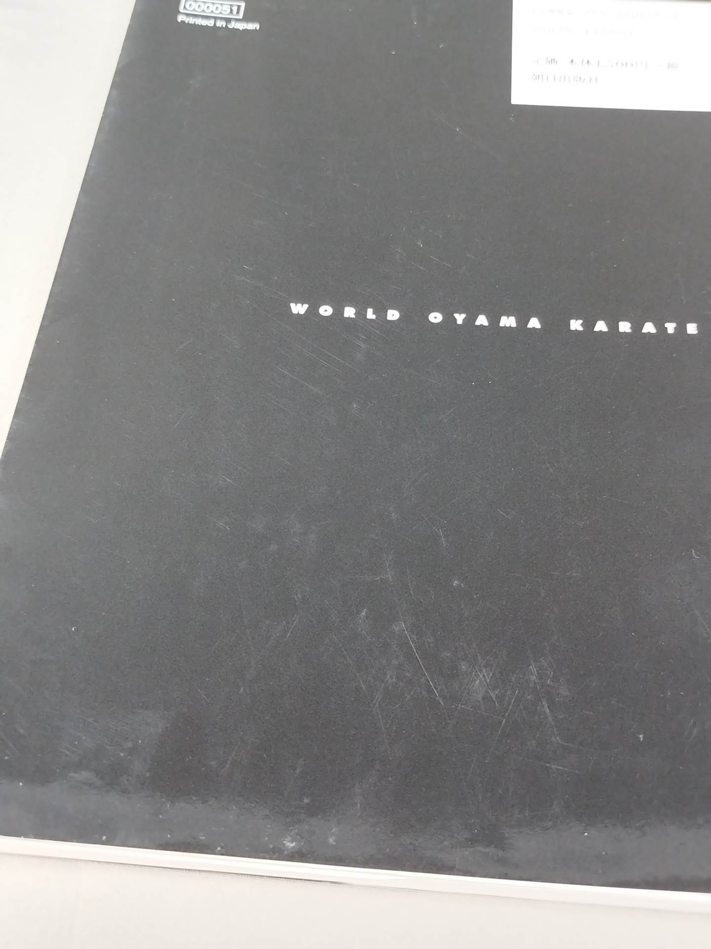 KARATE SCRIPTURES, VOL. 2