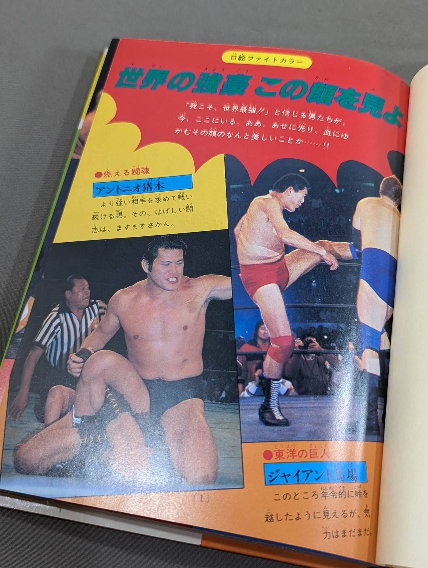 Pro Wrestling Surprise Dokkuri Encyclopedia