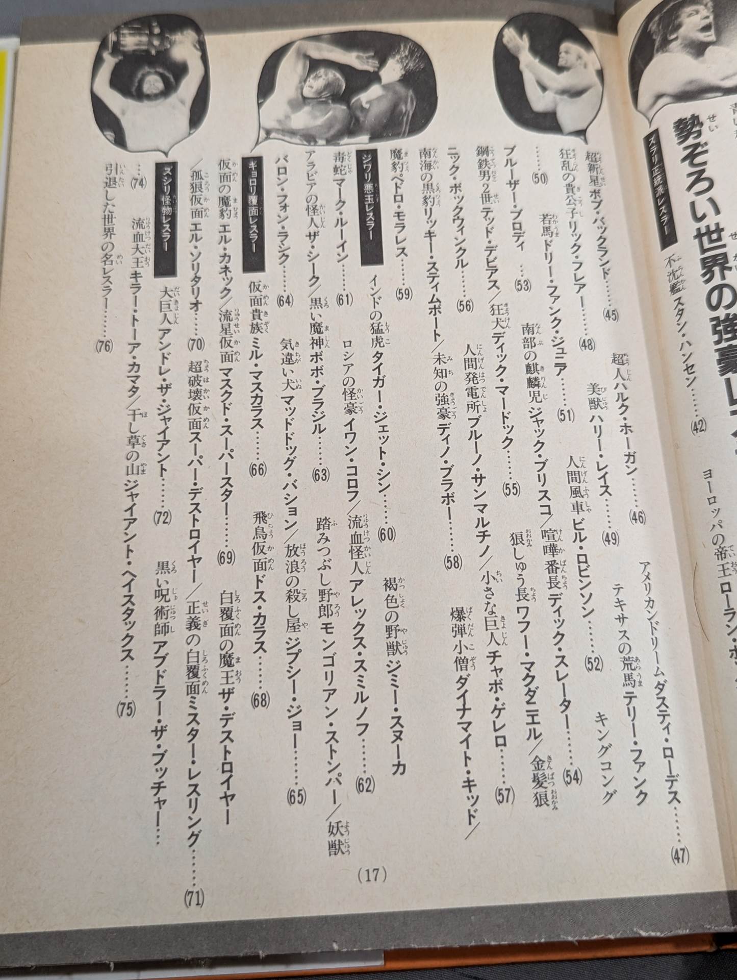 Pro Wrestling Surprise Dokkuri Encyclopedia