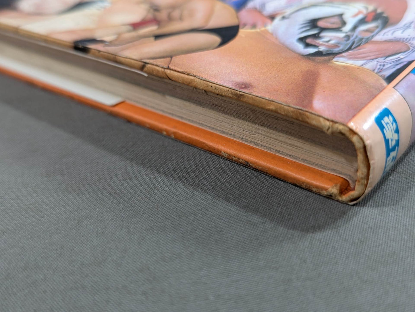 Pro Wrestling Surprise Dokkuri Encyclopedia