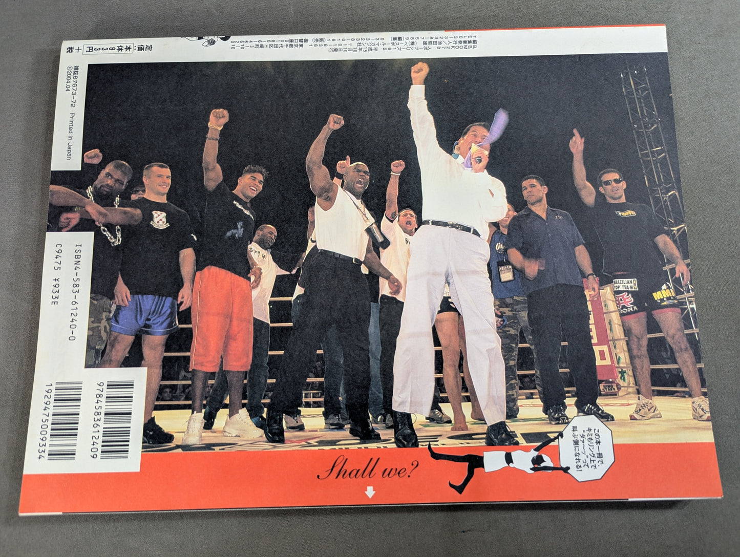 Introduction to mixed martial arts