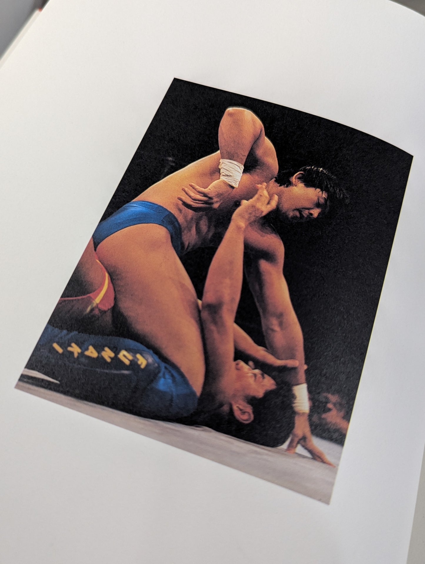パンクラス写真集 シード SEED PANCRASE1993-1996