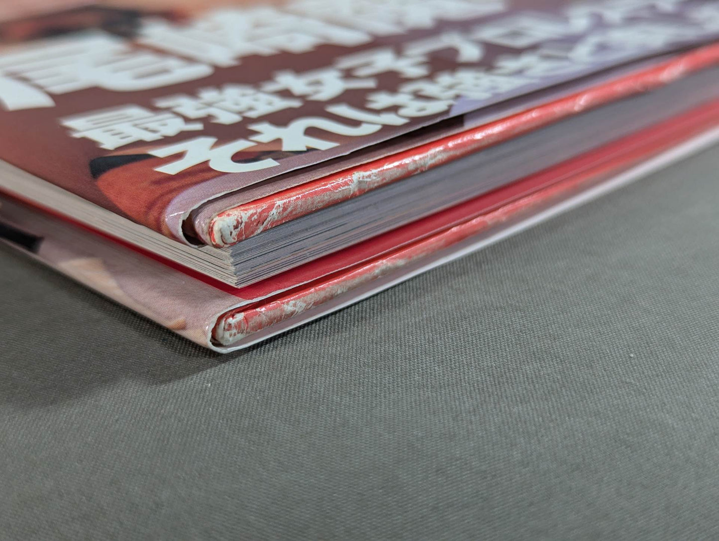 Mayumi Ozaki photo A la Cult