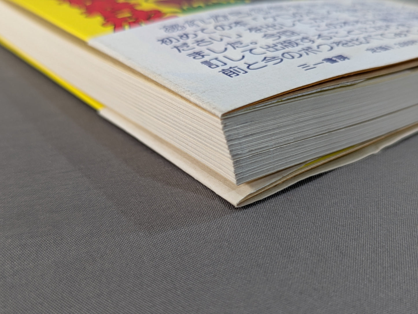 【hand signed autograph】 Kero's Pro Wrestling Youth Travel Diary