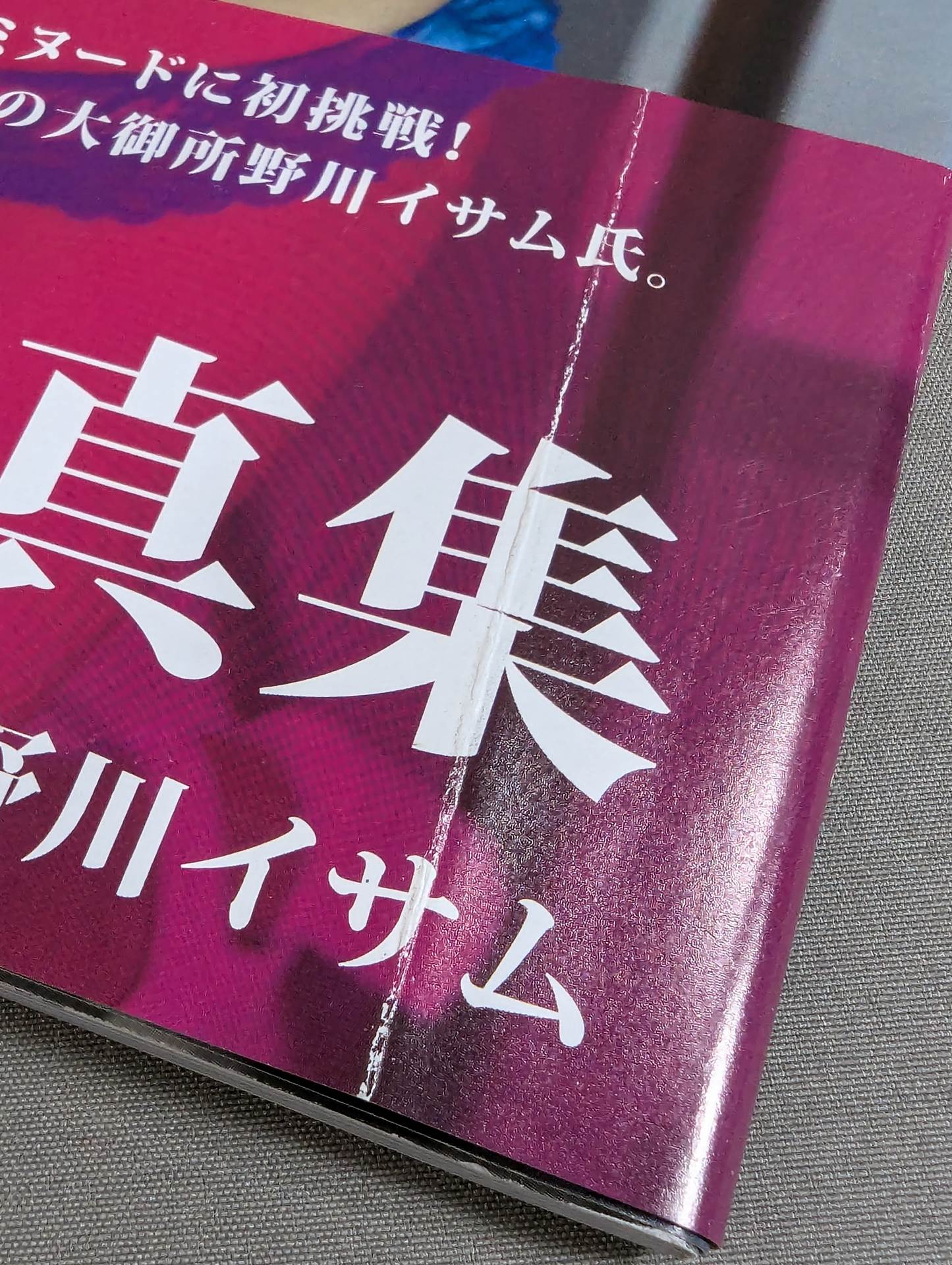 Hanako Nakamori photo collection ZE・N・RYO・KU